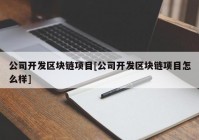 公司开发区块链项目[公司开发区块链项目怎么样]